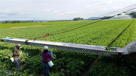 Field Produce – Harvest Farm