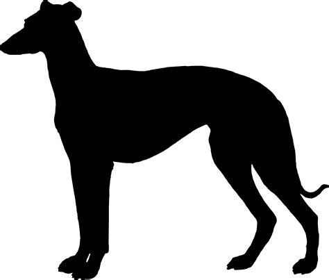 Clipart - Greyhound Silhouette - (2400x2043) Png Clipart Download