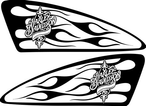 two black and white designs with flames on the side of each car's hood