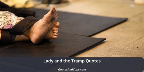 Lady & Tramp: Love, Spaghetti & Inspiration in Quotes