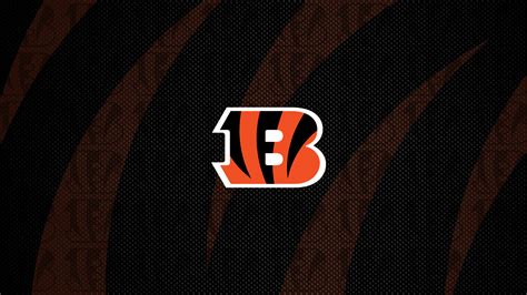 Cincinnati Bengals Fans | 2018 Wallpaper - Bengals.com