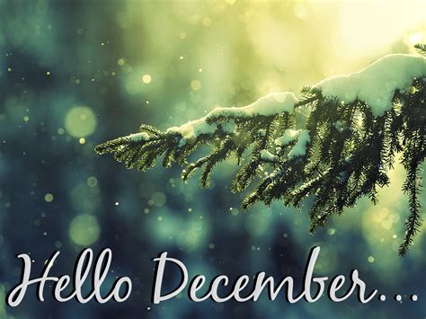 Hello December Desktop Wallpapers - Top Free Hello December Desktop ...