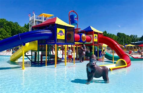 Jungle Rapids Family Fun Park in Wilmington NC - More Than Main Street