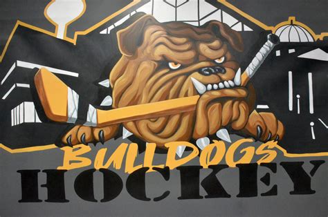 Bulldogs add 14 players after OHL Priority Selection Draft | BrantBeacon