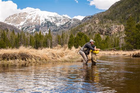 Angler's Covey Fly Fishing Shop & Guided Trips In Colorado Springs