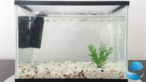 How To Build a Large Glass Aquarium - Step by Step Guide - AquaLifeTank