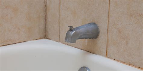 Bathroom Tile Mold Mildew Removal – Everything Bathroom