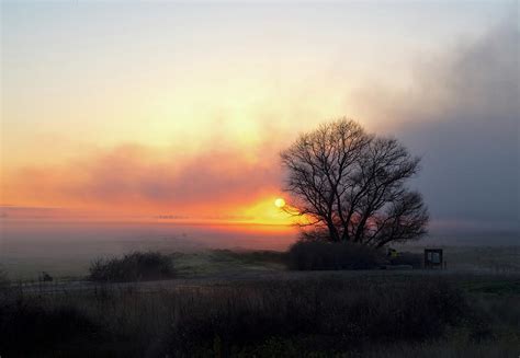 Tule Fog Sunrise Photograph by Cheryl Strahl - Pixels