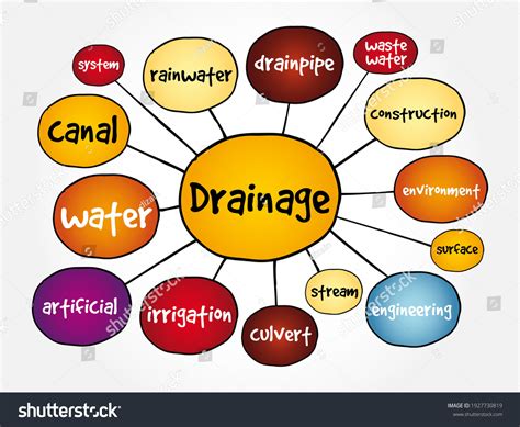 Drainage Mind Map Concept Presentations Reports Stock Vector (Royalty Free) 1927730819 ...