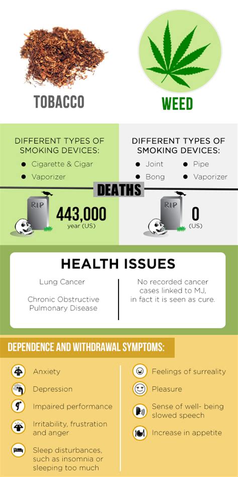 Smoking Weed VS Tobacco : Which One is More Damaging to Your Health ...