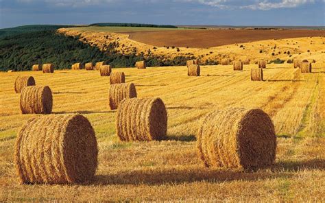 Hay Bales Wallpapers - Wallpaper Cave