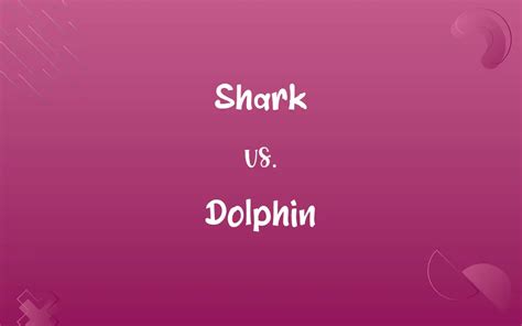 Shark vs. Dolphin: Know the Difference