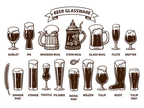 Types of Beer Glasses, Mugs, Pints, Steins & More