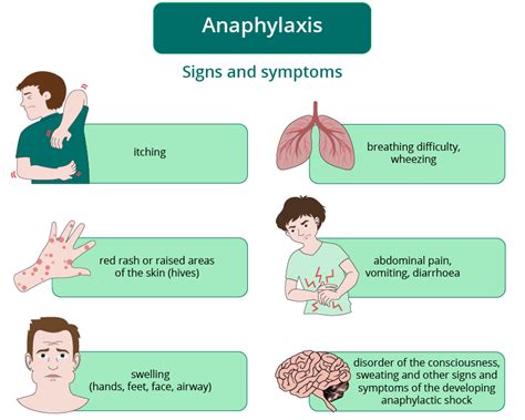 Eat Pineapple Safely: Here Are Some Potential Allergic Reactions - TheTalkHome