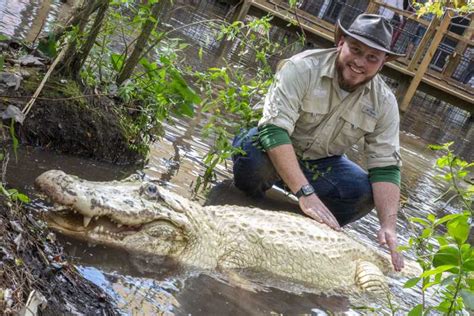 Orlando: Gatorland Skip-the-Line Ticket | GetYourGuide