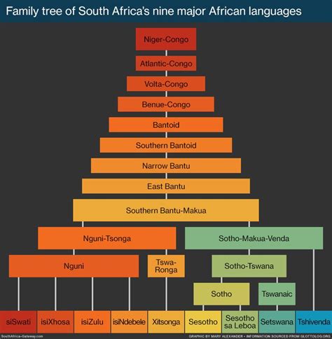 the family tree of south africa's nine major languages