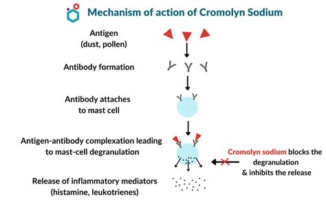 Cromolyn Sodium | Mechanism of action, Uses & Side effects