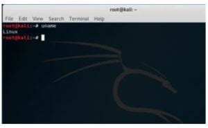 Kali Linux Terminal | Working & uses of commands in Kali Linux Terminal