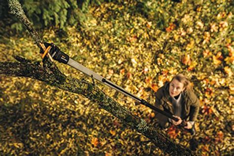 Top 5 Best Telescopic Tree Pruners | Comparison and Buyers Guide