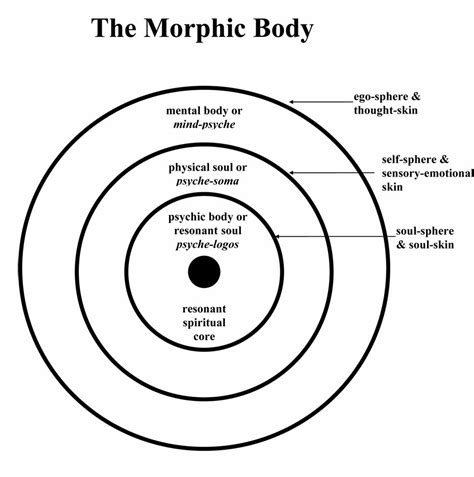 MORPHIC RESONATION and MORPHIC HEALING : The Principle and Practice of Morphic Resonation