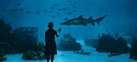 Lisbon Oceanarium: tickets, timetables and useful information for the ...