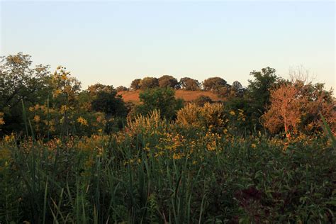 Hill in the distance in Madison, Wisconsin image - Free stock photo ...