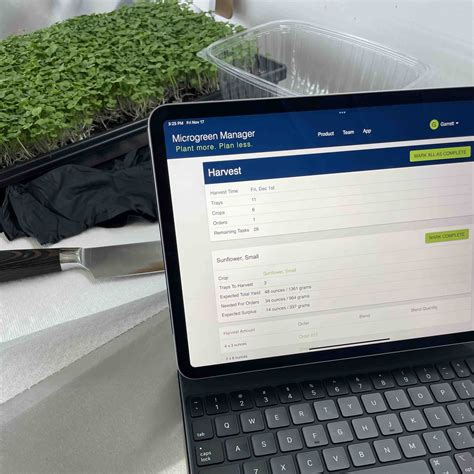 Damping Off: Prevention & Management for Healthy Microgreens - Microgreen Manager