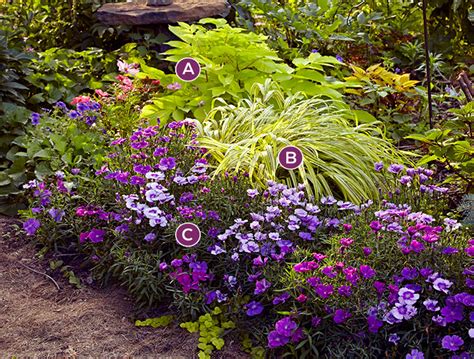 Border Plants That Grow In Shade at Matthew Pyron blog