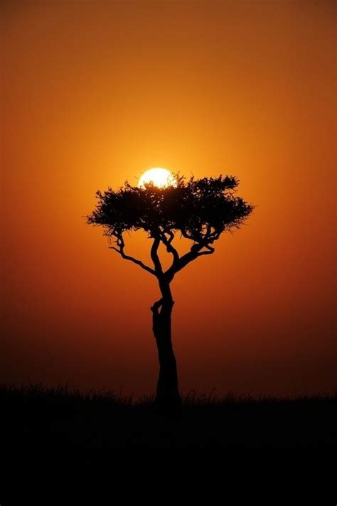 Mara sunrise,Masai Mara, Kenya | I didn't know it was impossible.. and ...