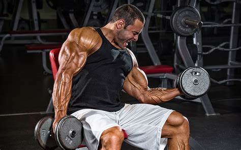 Get Serious Arm-Size With This Biceps & Triceps Workout