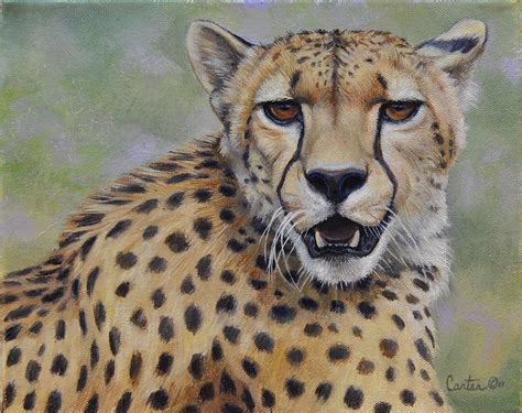 Cheetah Painting by Calvin Carter