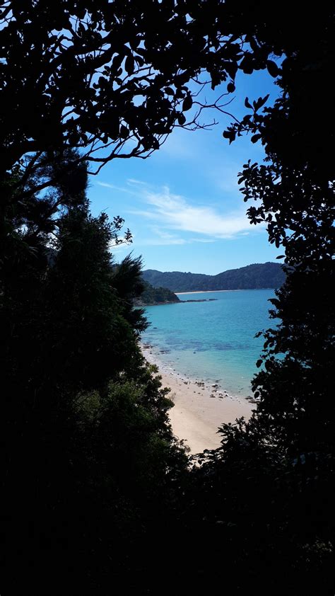 Abel Tasman NP walk | Beautiful places, Abel tasman, New zealand