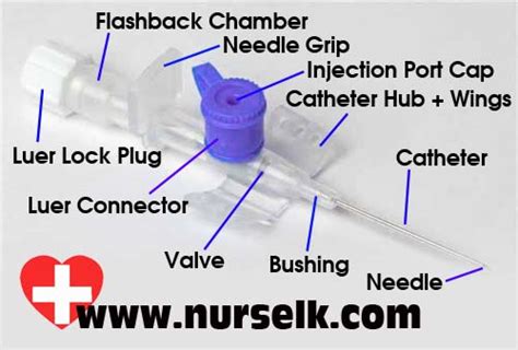 Parts of an I.V Cannula | Nurselk.com