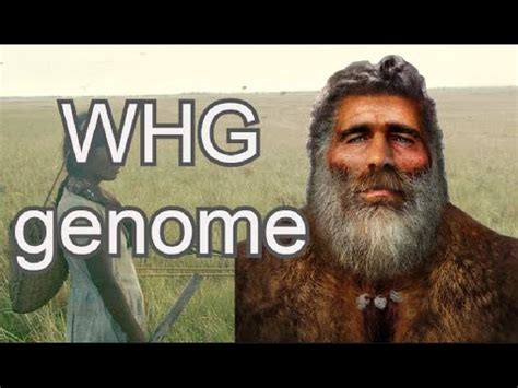 DNA + Traits of Western Hunter Gatherer (Loschbour) - YouTube