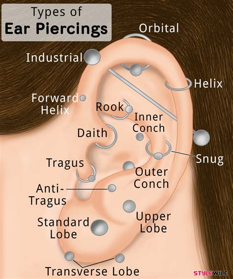 13 Types of Ear Piercings That Will Look Cute On You | StyleWile