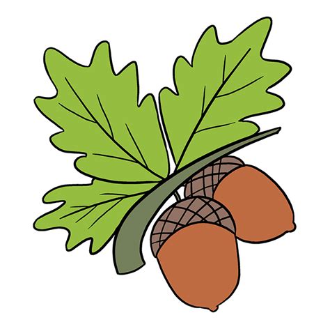 How to Draw Acorns - Really Easy Drawing Tutorial