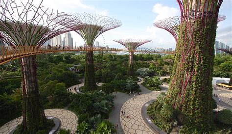 Gardens by the Bay | Singapore Travel Guide | Marina Bay Sands