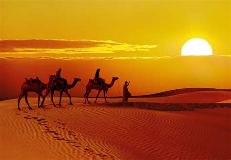 Know About The Best Time to Visit Jaisalmer | Veena World