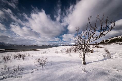 William Burnett Photography: Norway - The Far North