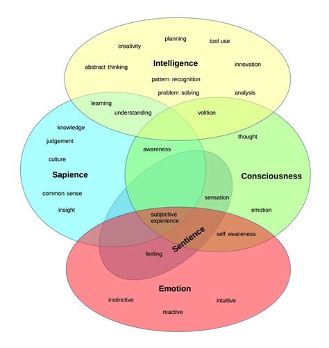 “The Distinction Between Sentient and Sapient” - Twobabox.com