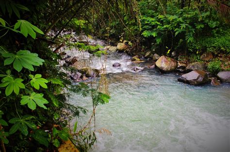 Gambar Gambar Sungai Jernih Pernik Dunia Pemandangan Indah di Rebanas ...