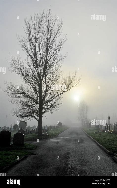 Cemetery shrouded in fog. Photo © George Sweeney/Alamy Stock Photo - Alamy