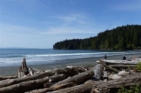 China Beach - Juan De Fuca Provincial park - Handsome Dan