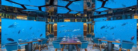 Stunning Underwater Restaurant in The Maldives