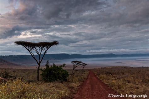 4753 Sunrise, Ngorongoro Crater, Tanzania - Dennis Skogsbergh PhotographyDennis Skogsbergh ...