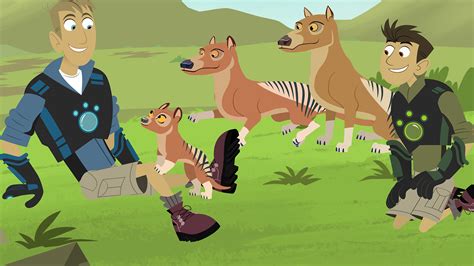 Watch Wild Kratts: Season 11 | Prime Video