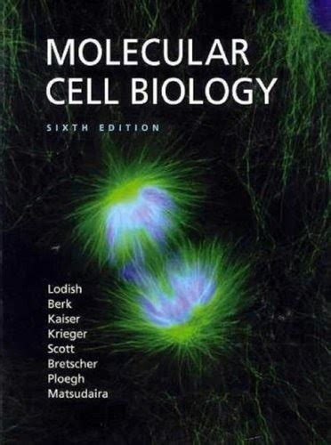 Free College Textbooks PDF: Molecular Cell Biology by Harvey Lodish, Arnold Berk