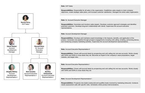 Organizational Chart And Roles | Images and Photos finder