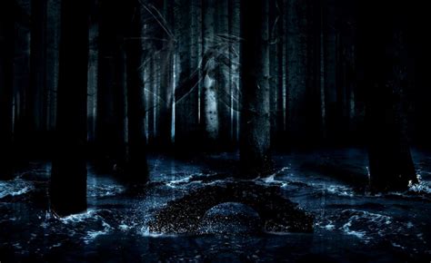 Dark Forest Wallpapers on WallpaperDog