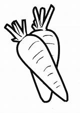Coloring Pages  Carrot Page For Kids sketch template